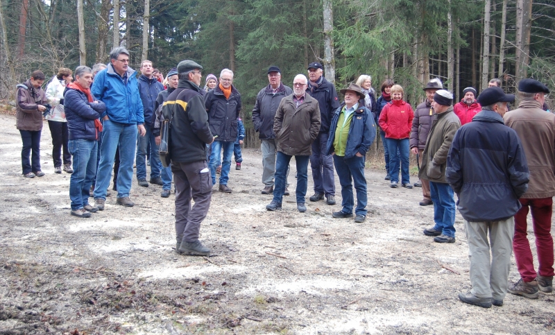 tl_files/sv_rosswangen/Allgemein/Bild_Flurenwanderung2015.JPG